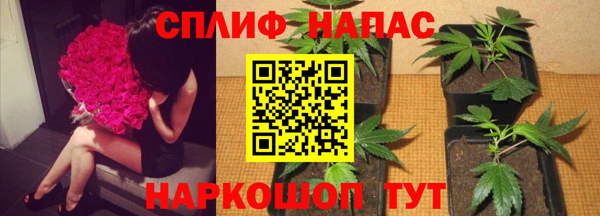 Шишки марихуана семена Бийск
